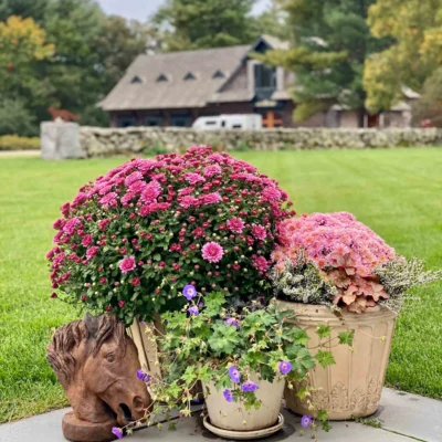 Fine Gardening Weston, MA