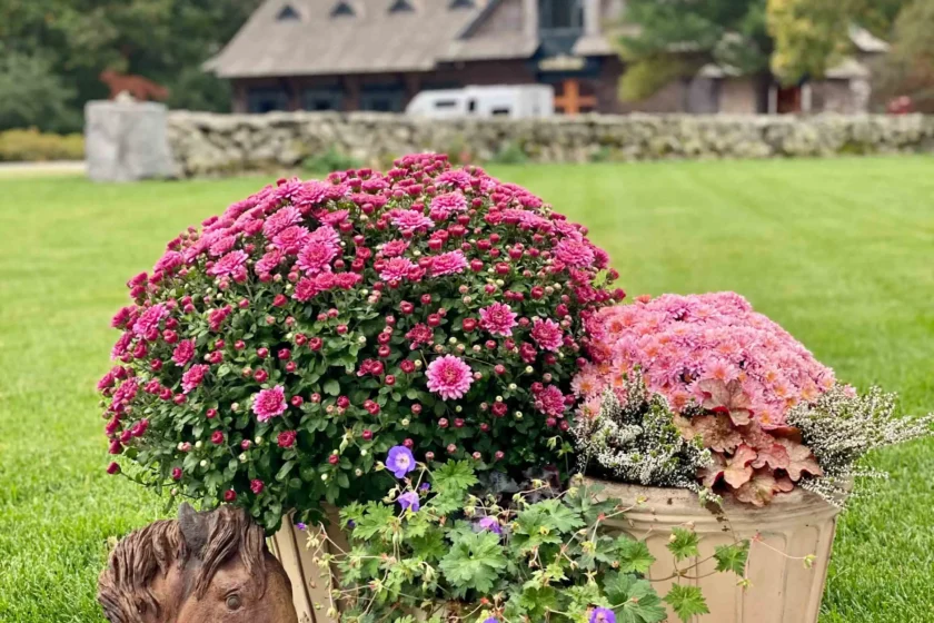 Fine Gardening Weston, MA