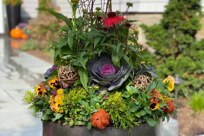 Fine Gardening Weston, MA