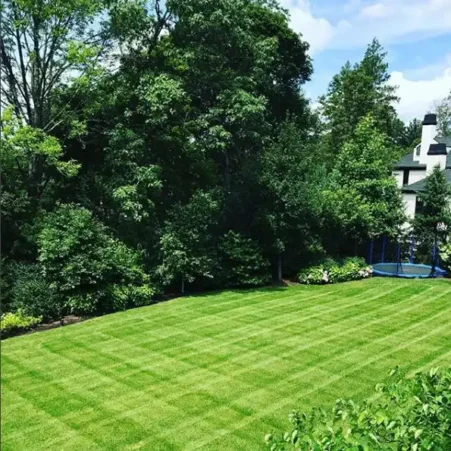 Weston, MA Landscape Maintenance Service