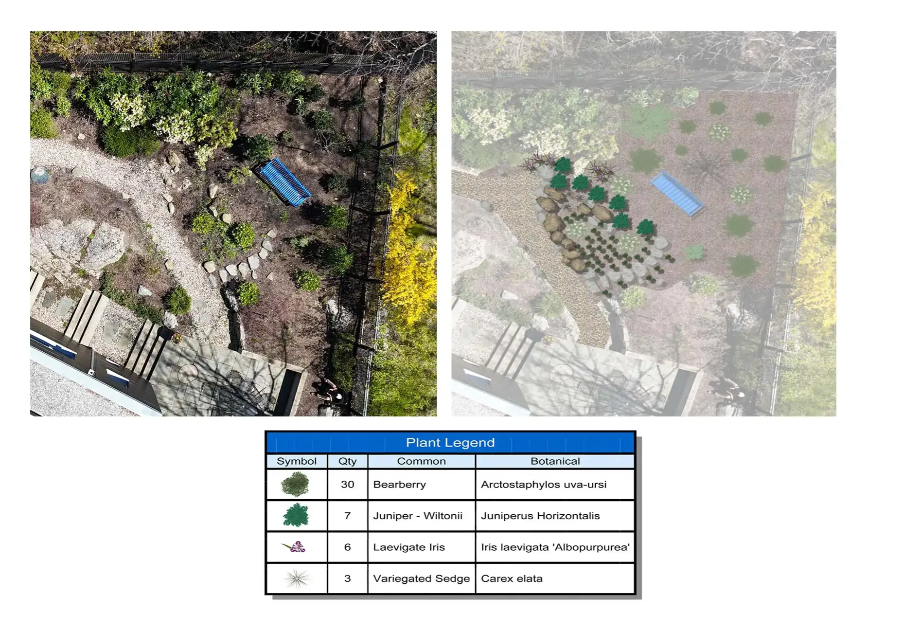 Weston, MA Landscape Designer