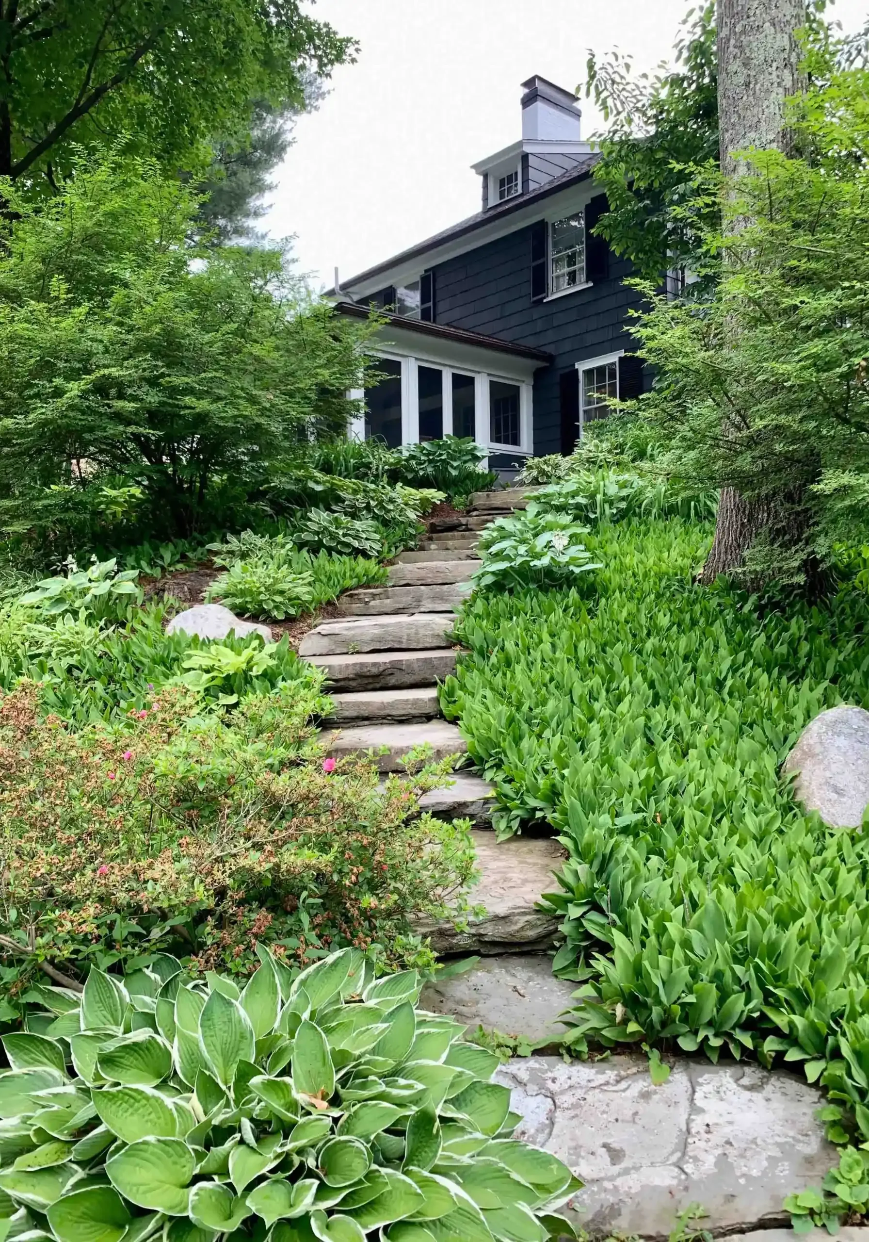 Brookline Ma Landscape Maintenance 11zon Brookline Ma Landscape Maintenance 11zon