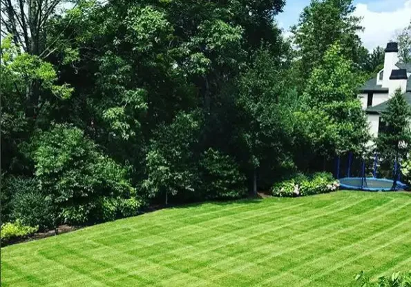 Weston, MA Landscape Maintenance Service